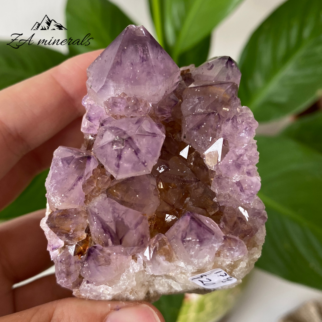 Amethyst Cactus Quartz 173g IC23