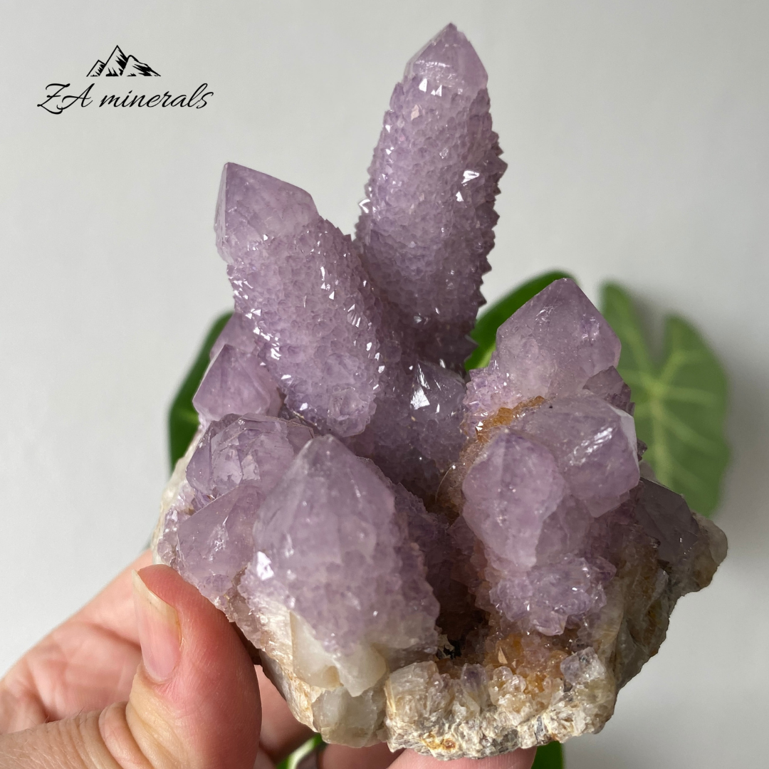 Amethyst Cactus Quartz Cluster 333g HW21