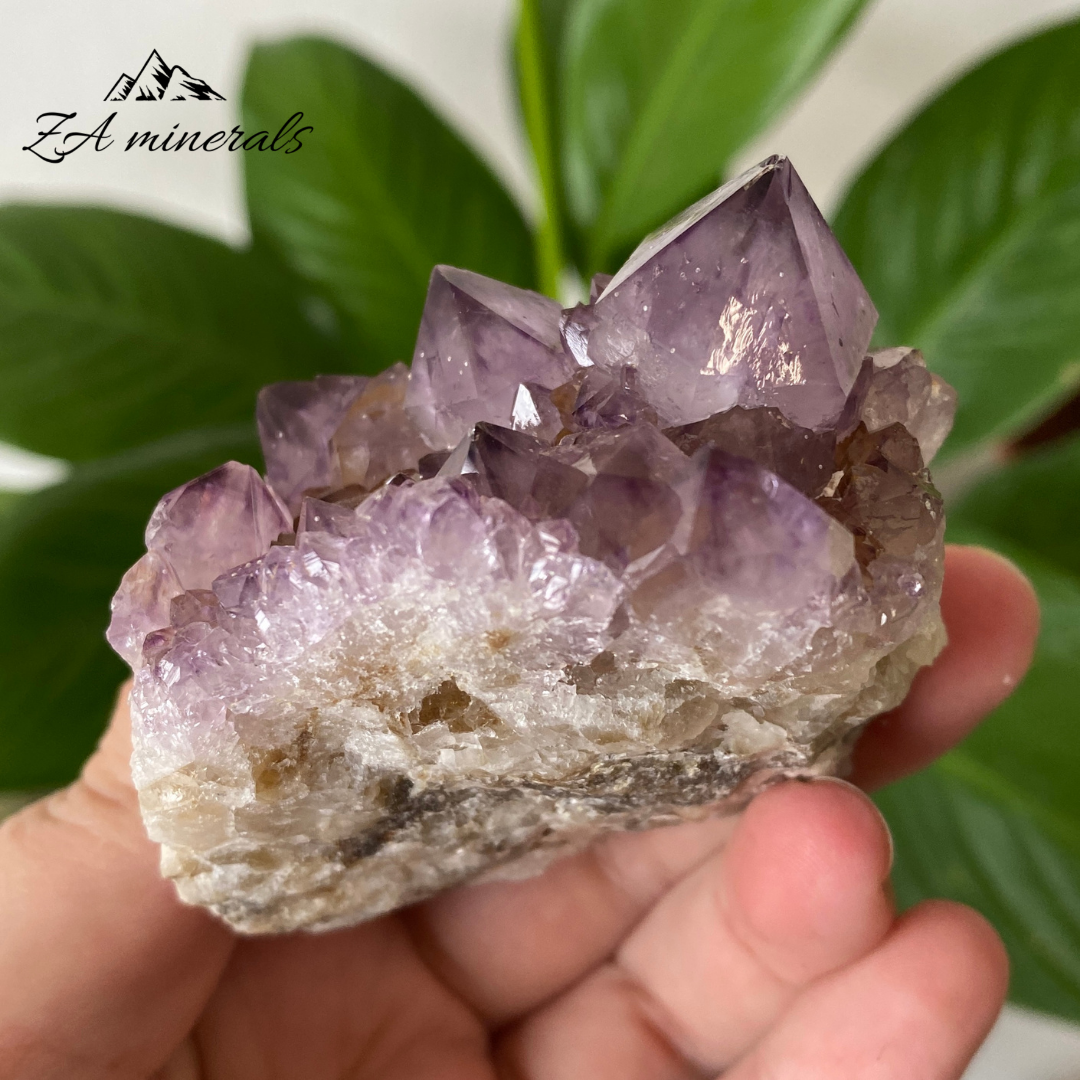 Amethyst Cactus Quartz 173g IC23