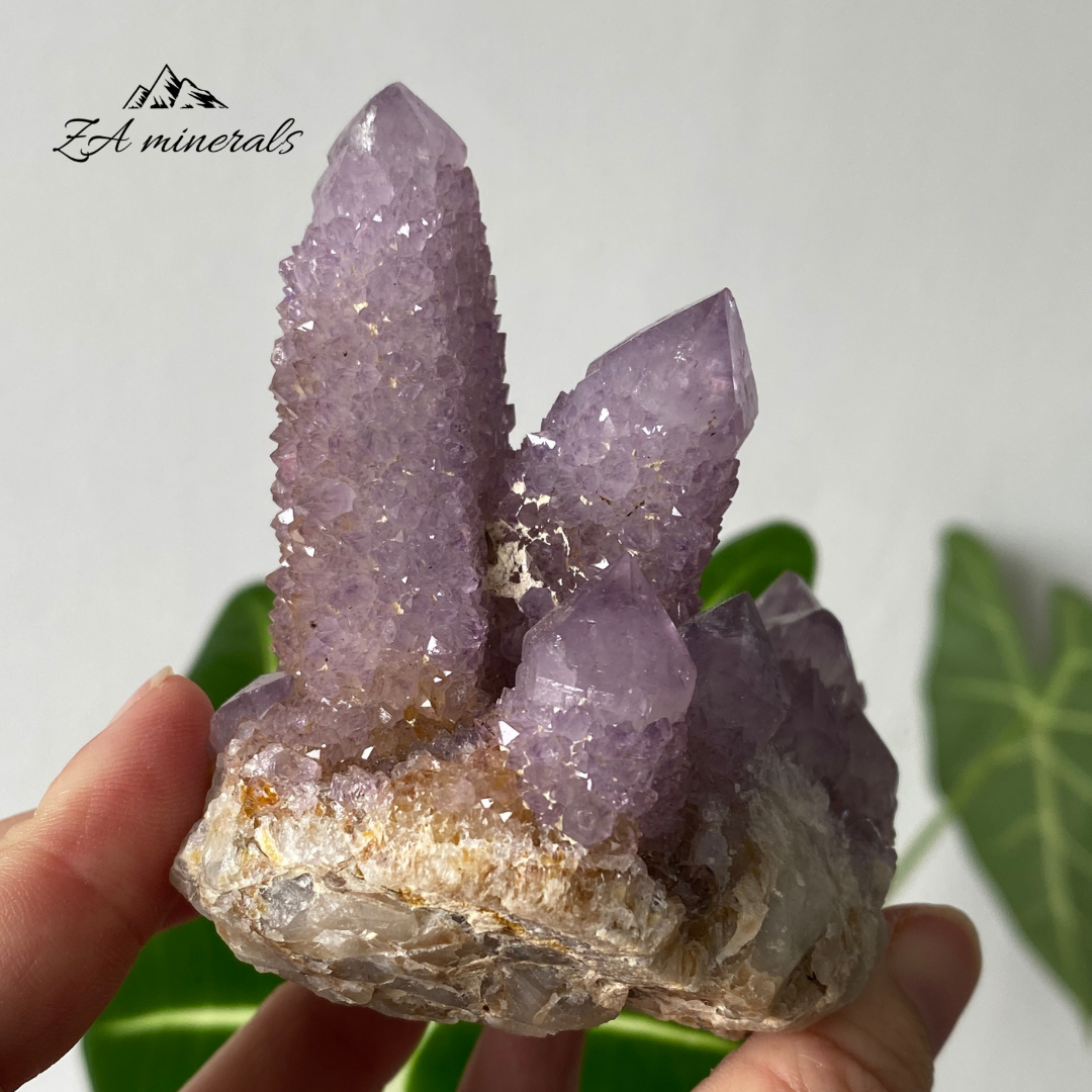 Amethyst Cactus Quartz Cluster 333g HW21