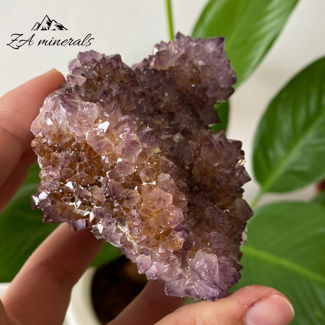 Amethyst Cactus Quartz 249g IC24