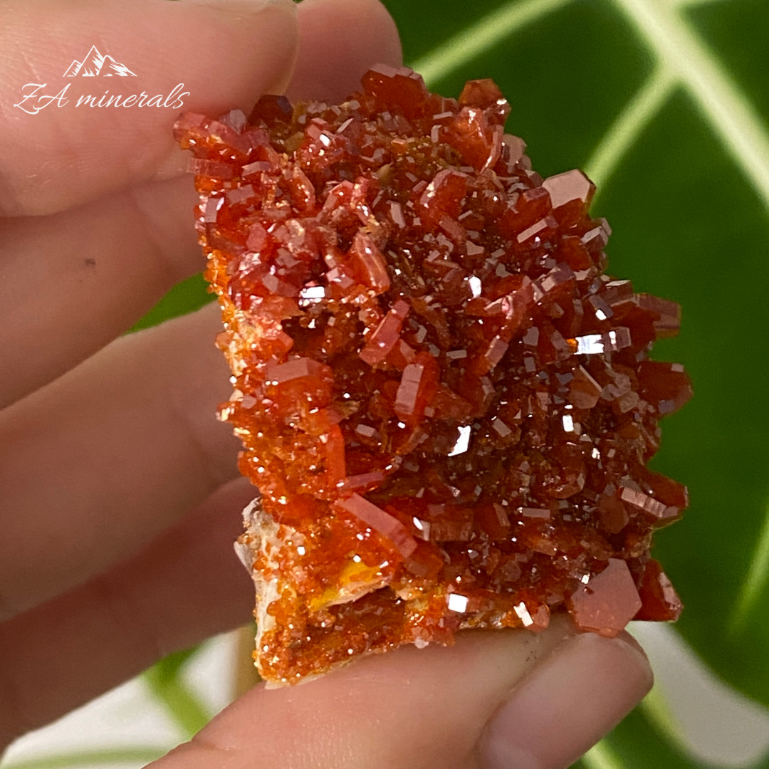 Vanadinite &  Baryte 74g IC04