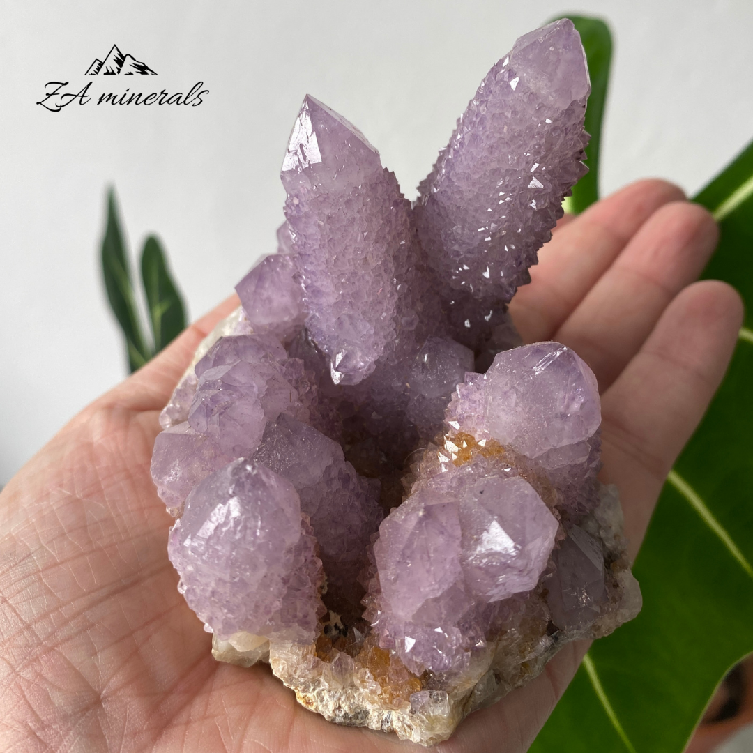 Amethyst Cactus Quartz Cluster 333g HW21