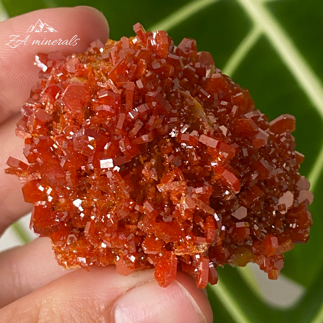 Vanadinite &  Baryte 74g IC04