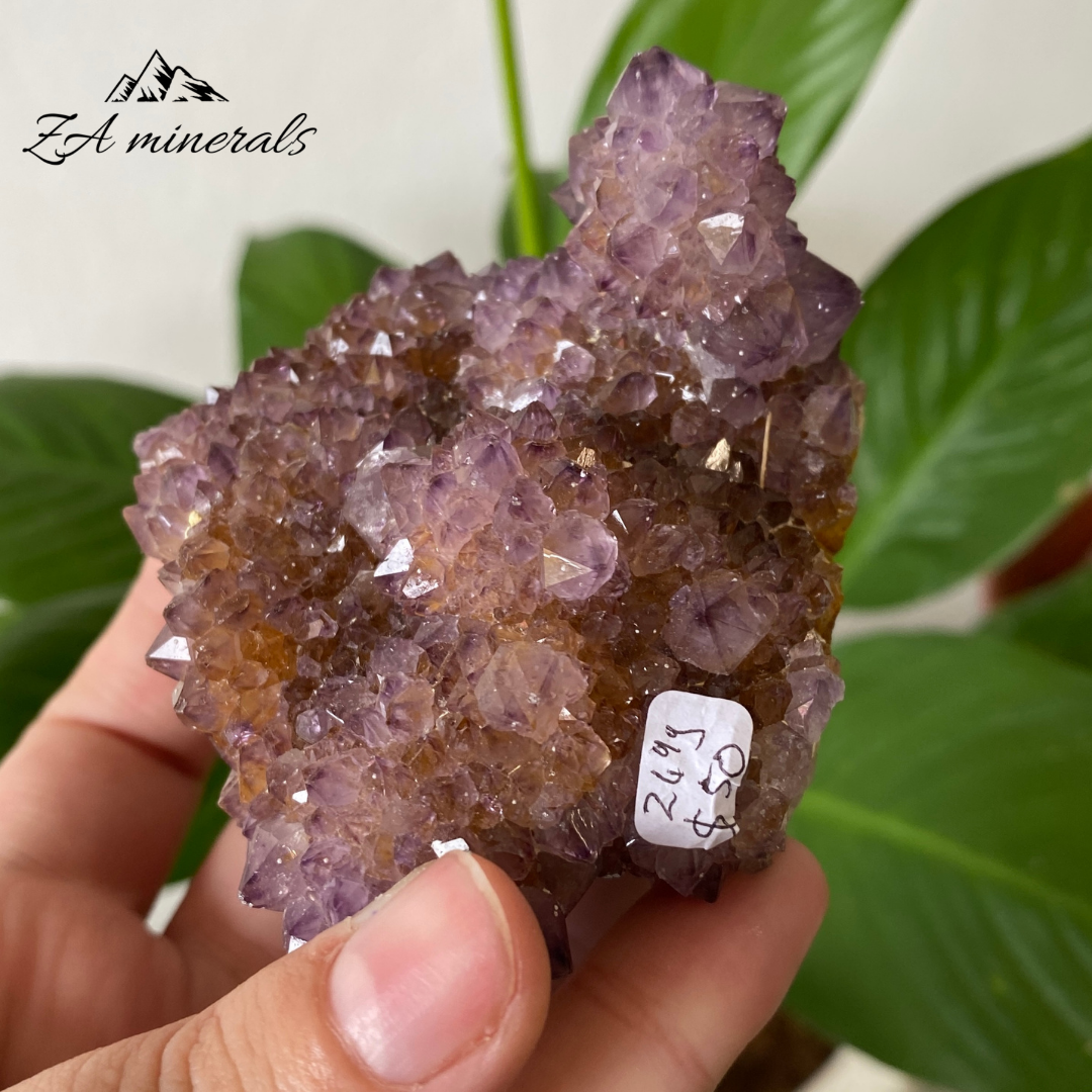 Amethyst Cactus Quartz 249g IC24
