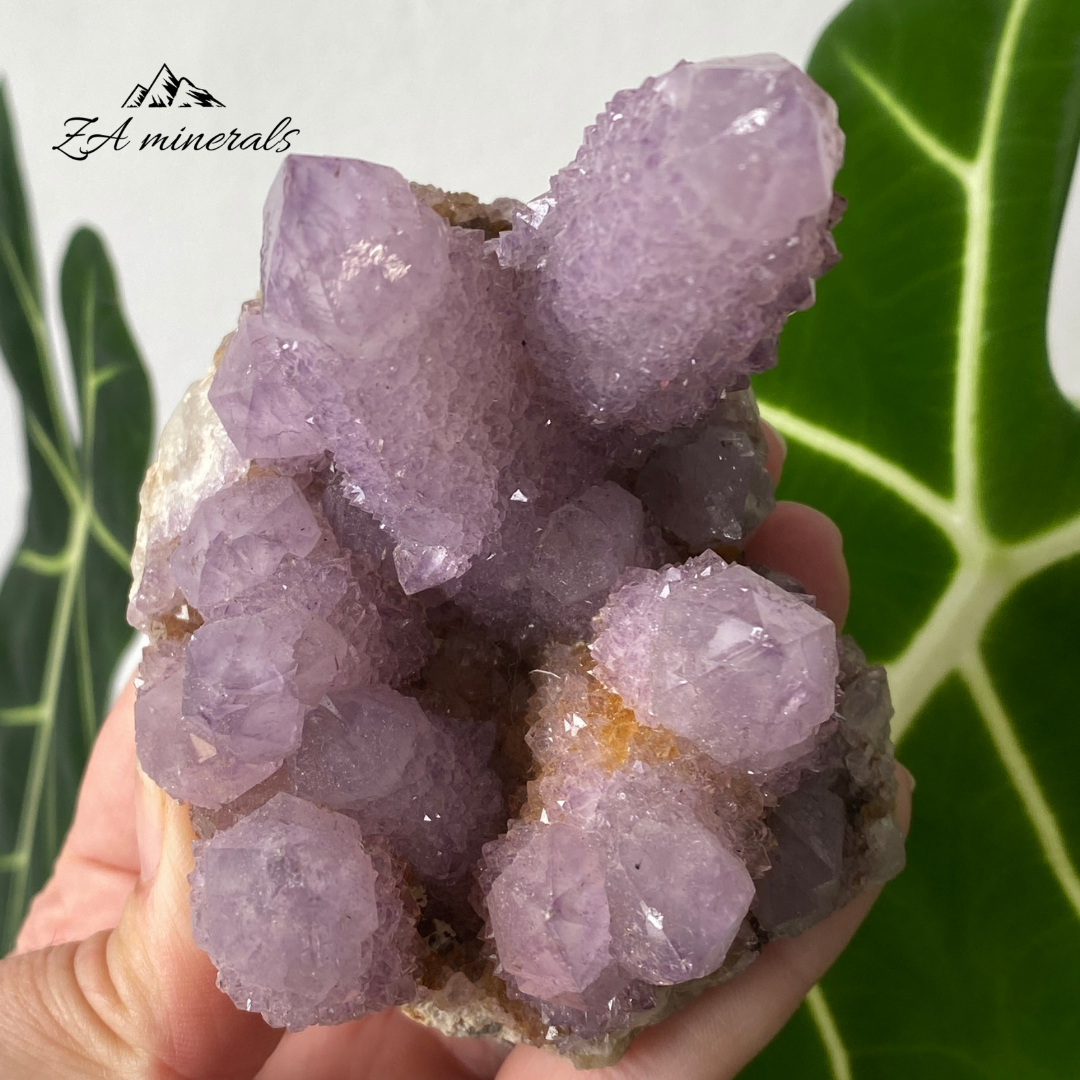 Amethyst Cactus Quartz Cluster 333g HW21