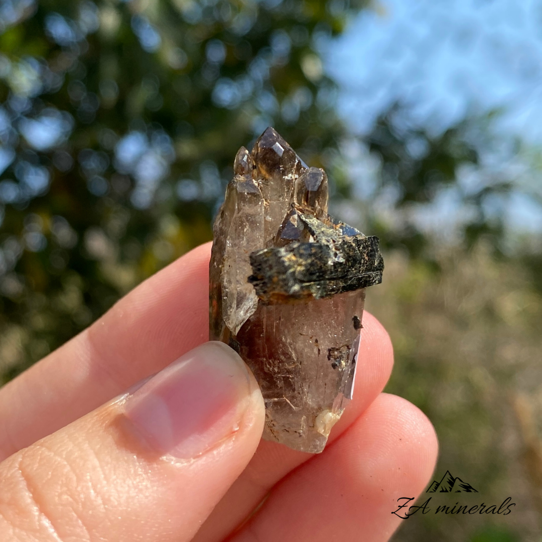 Smoky Quartz & Aegirine 13g IB22