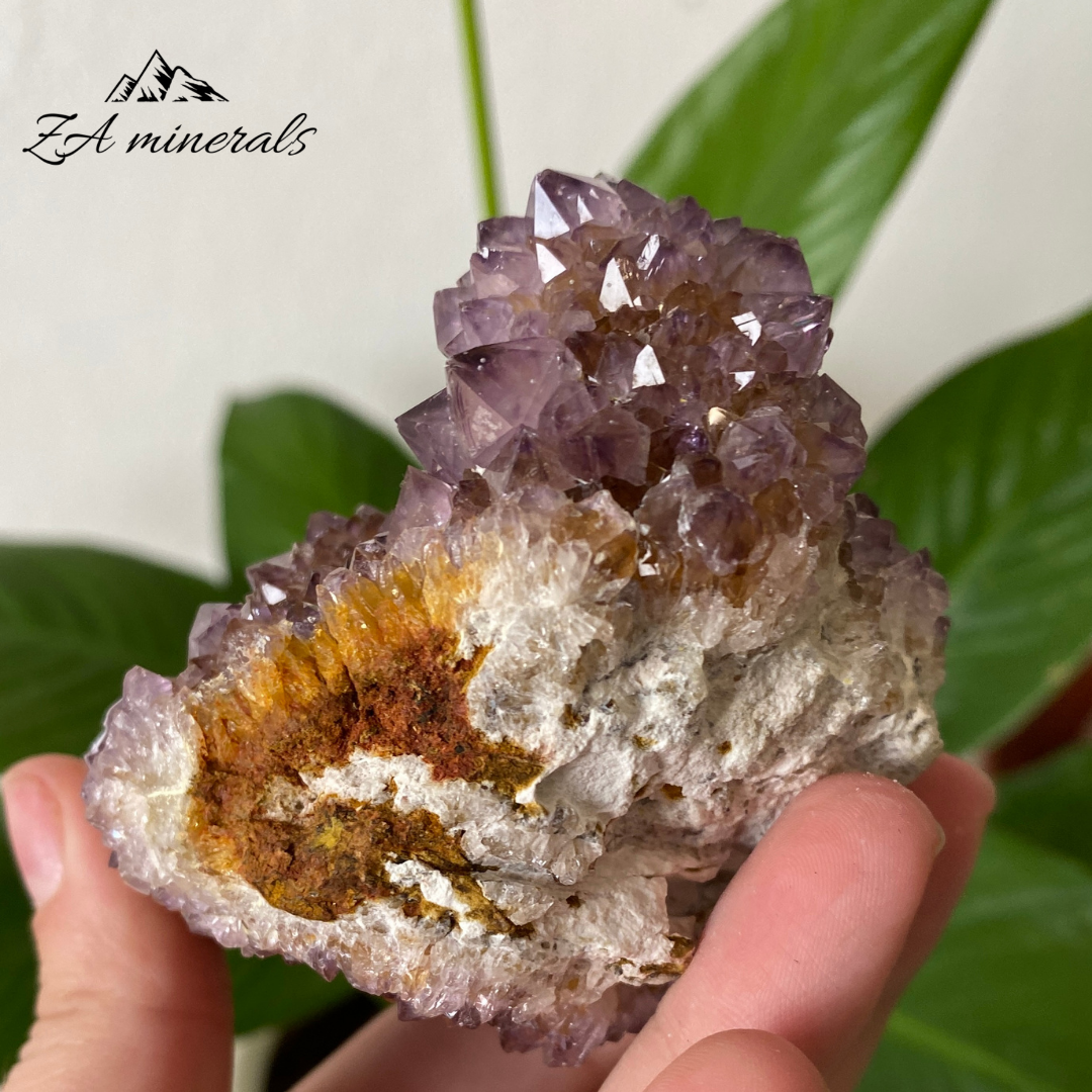 Amethyst Cactus Quartz 249g IC24