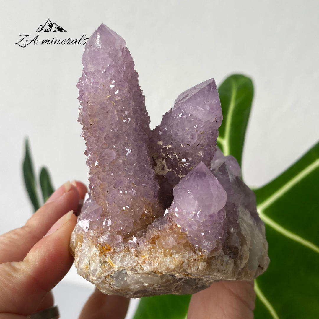 Amethyst Cactus Quartz Cluster 333g HW21