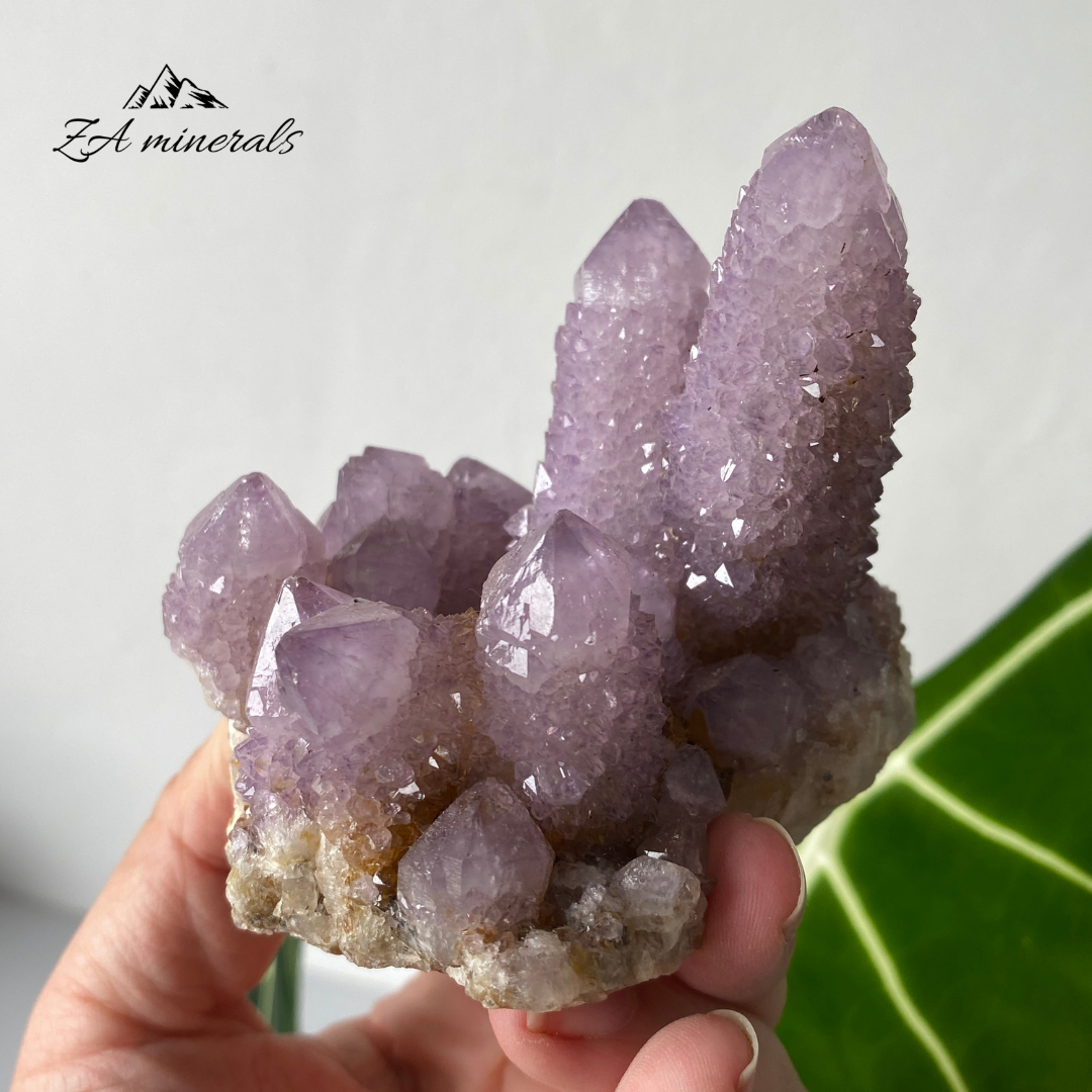 Amethyst Cactus Quartz Cluster 333g HW21