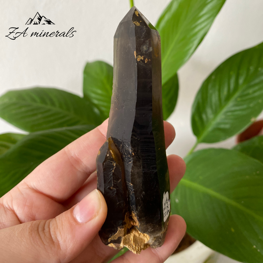 Smoky Quartz 113g IC26