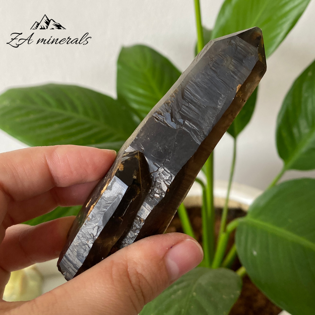 Smoky Quartz 113g IC26