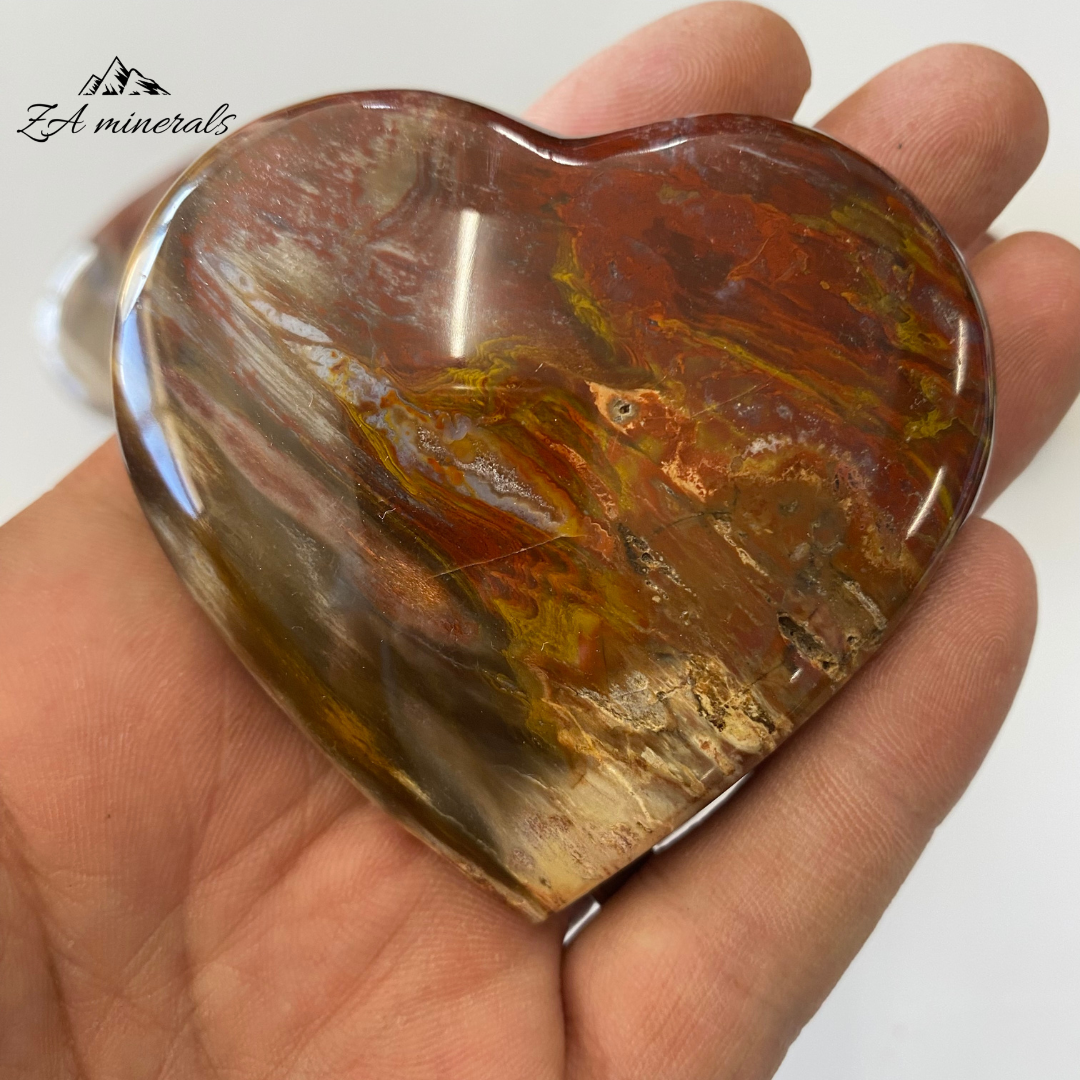 Polished Fossilized Wood Hearts 1kg