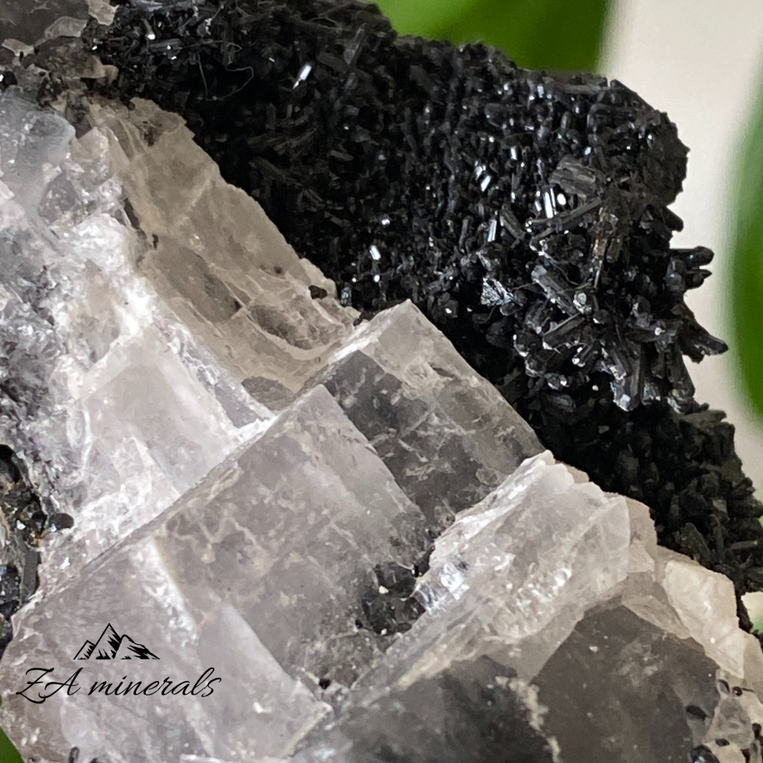 Gaudefroyite & Calcite 71g IE12