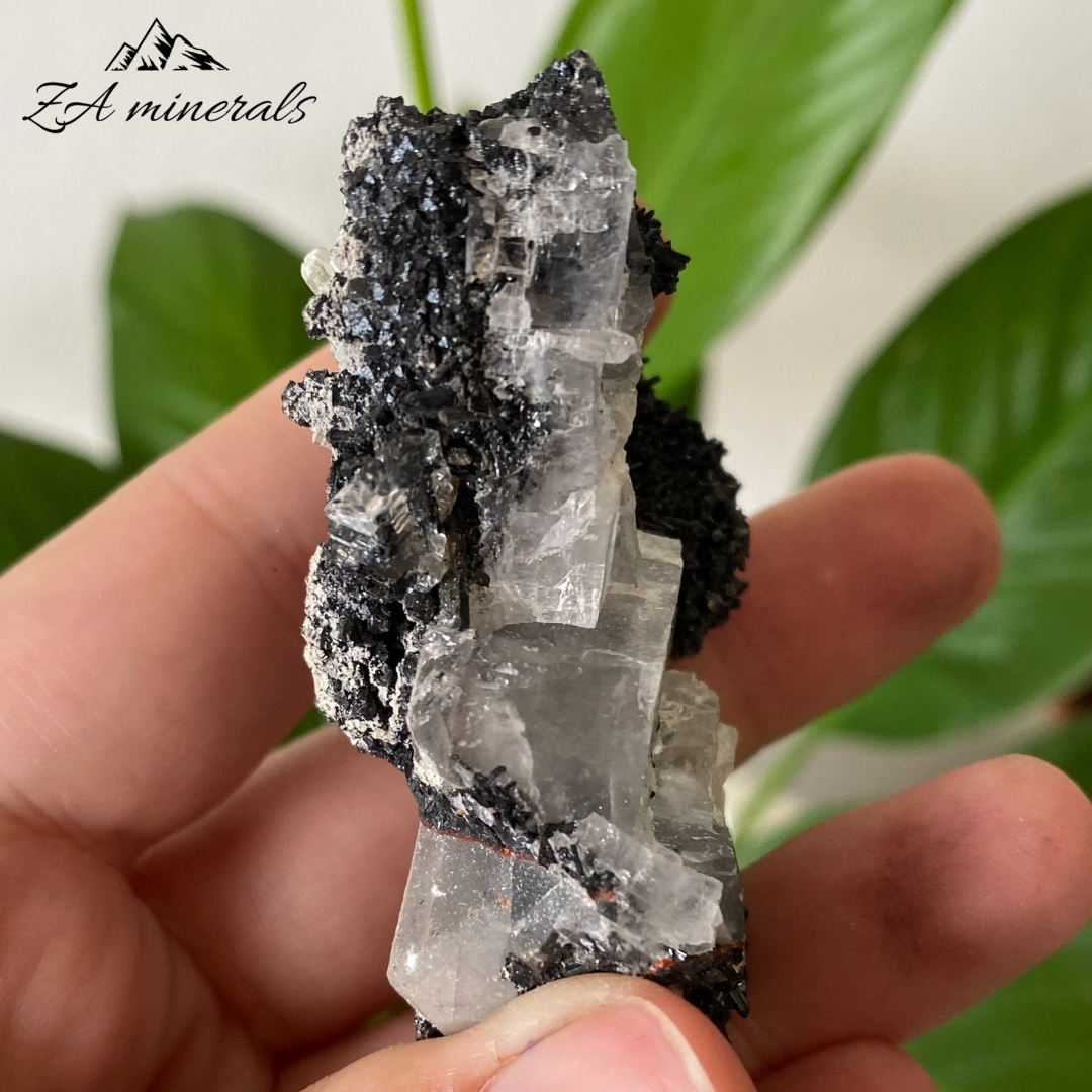 Gaudefroyite & Calcite 71g IE12