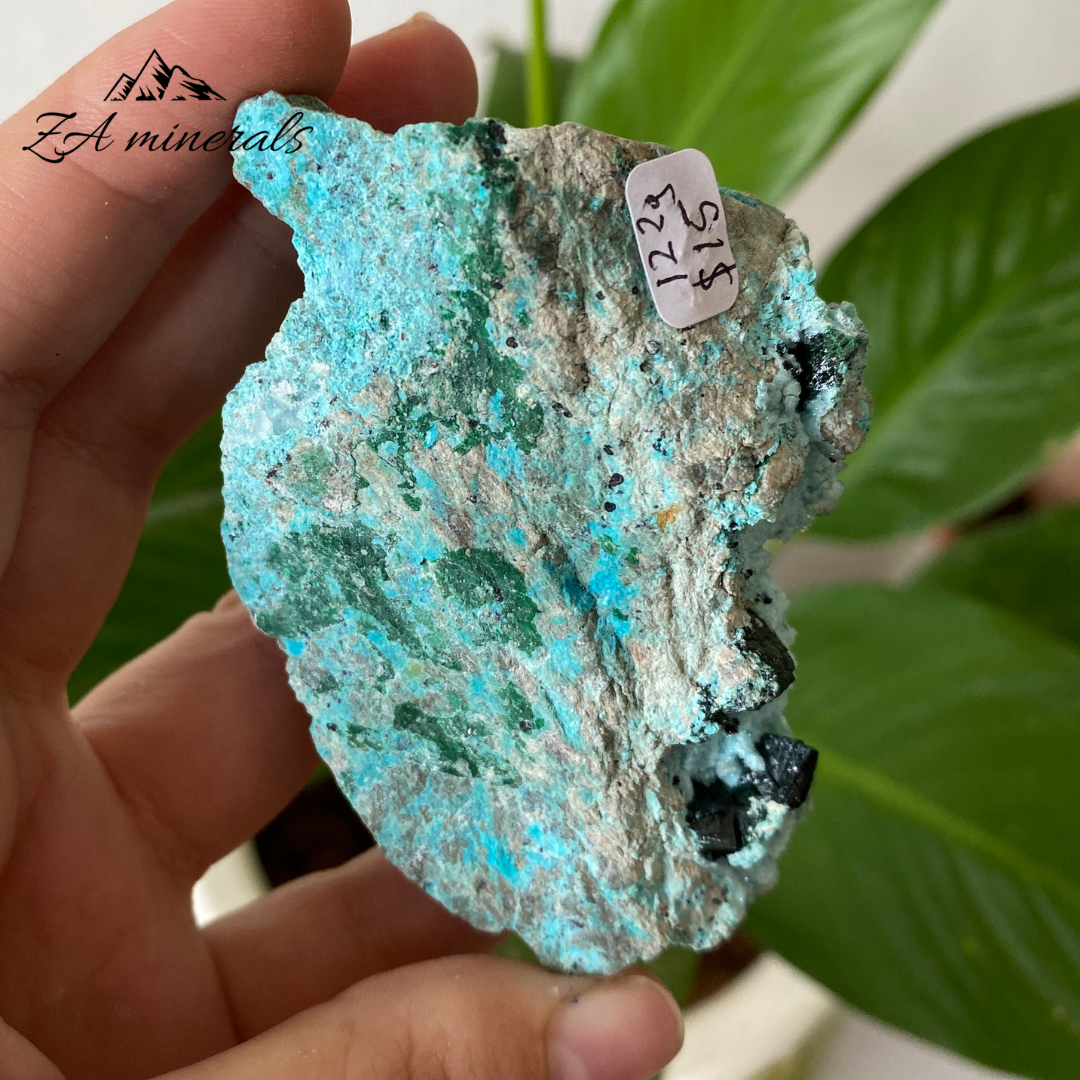 Chrysocolla with Primary Malachite 122g IC14