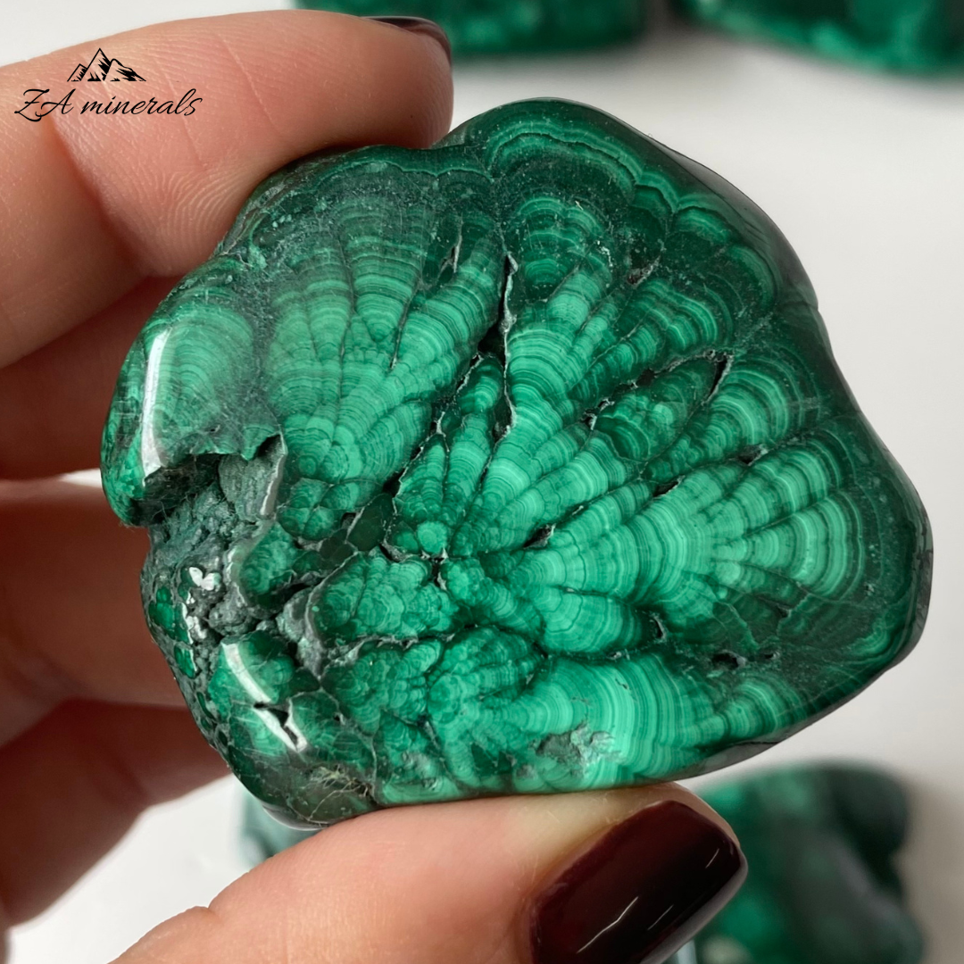 Polished Malachite Freeforms (x6) 0.409kg TT11