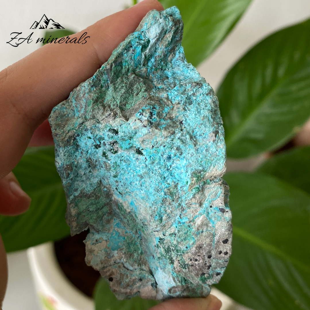 Chrysocolla with Primary Malachite 122g IC14