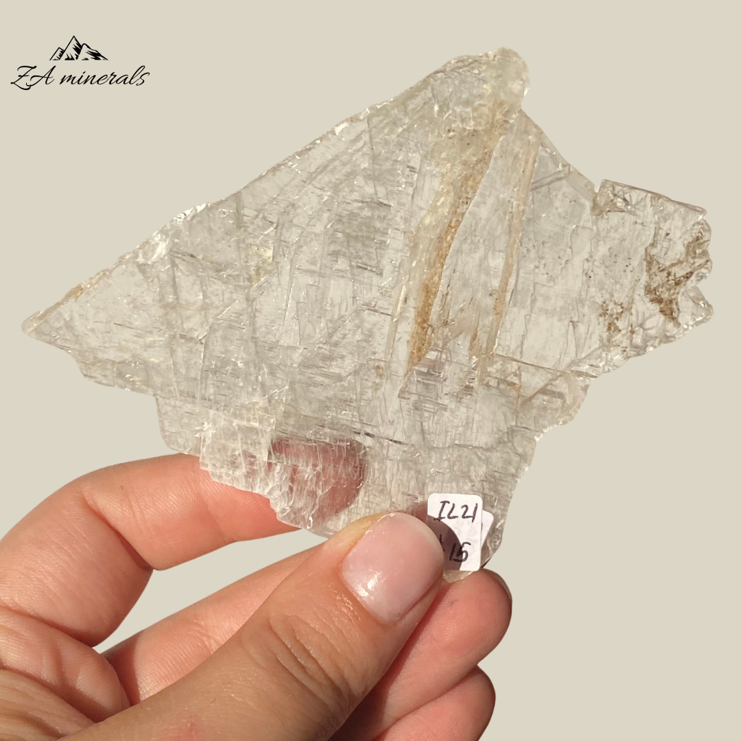 An amazing specimen of transparent and vitreous Selenite.  Striations and internal stress can be seen inside the piece. The edges of the slice are rough. Rainbow inclusions can be seen in between the layers of the Selenite.