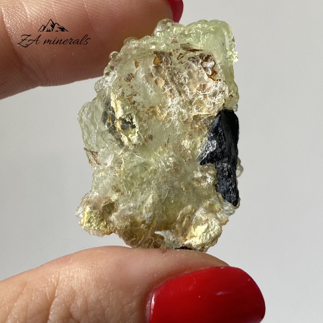 Hyalite (Opal-AN) Black Tourmaline 0.008kg IY12