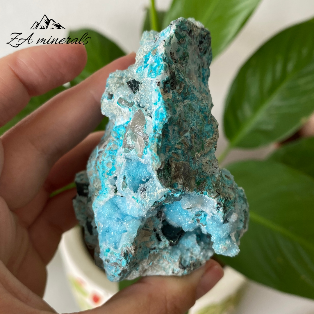 Chrysocolla with Primary Malachite 170g IC15