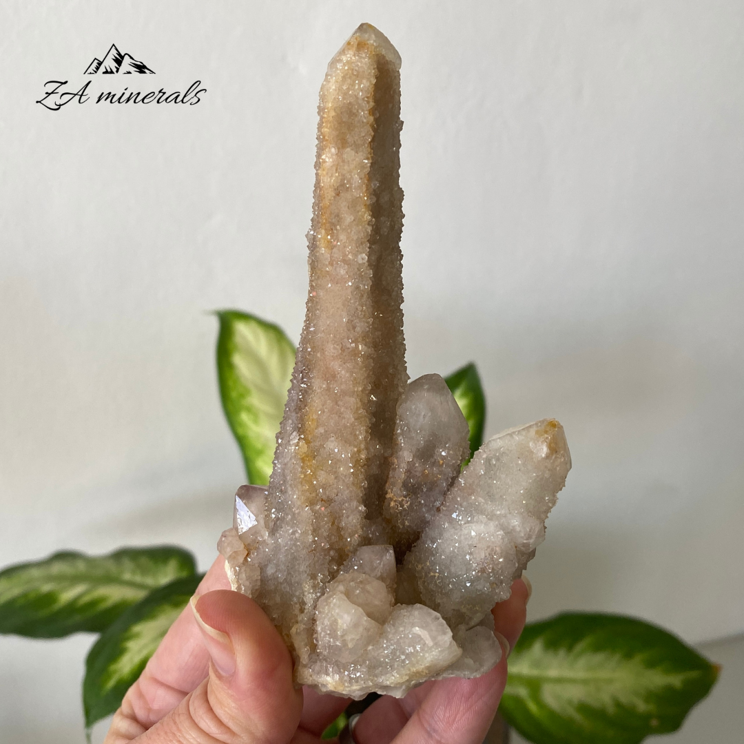 White Cactus Quartz Cluster 214g HW03