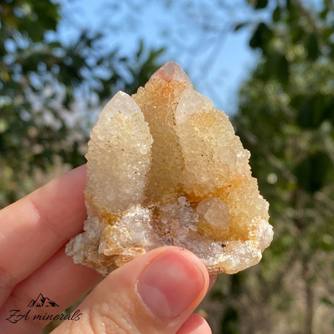 'Golden Healer' White Cactus Quartz 60g IB19