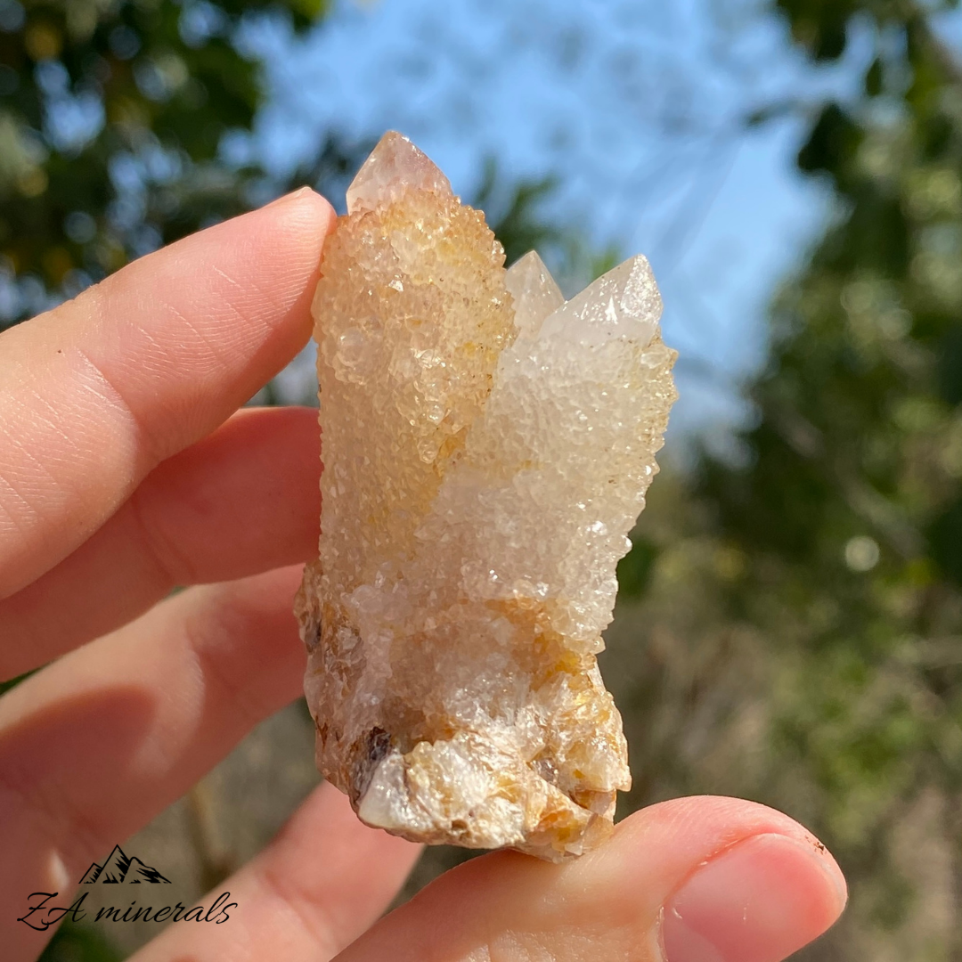 'Golden Healer' White Cactus Quartz 60g IB19