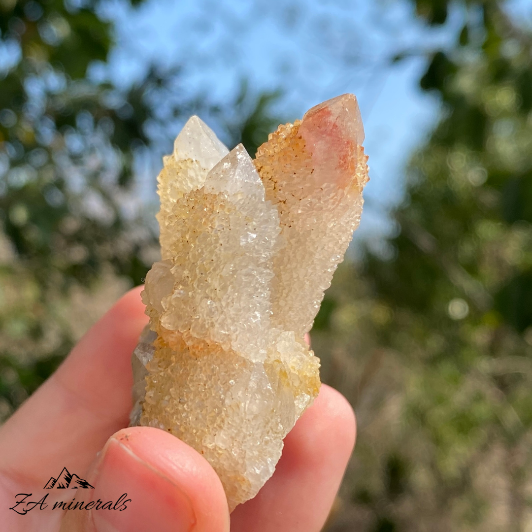 'Golden Healer' White Cactus Quartz 60g IB19
