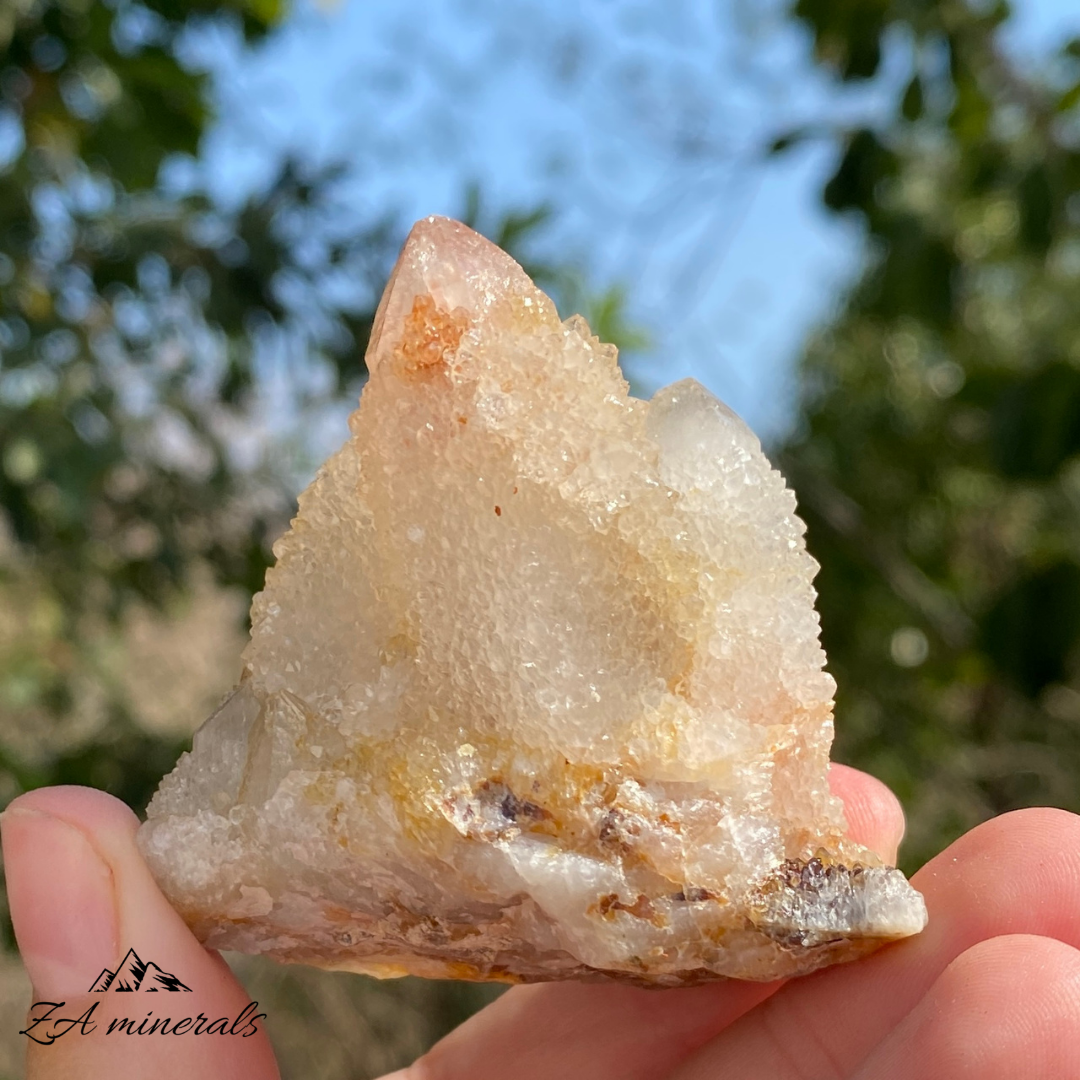 'Golden Healer' White Cactus Quartz 60g IB19