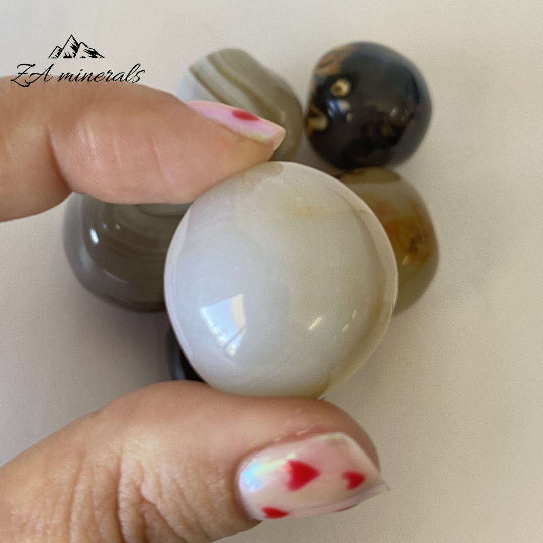 Size reference of  gumball 