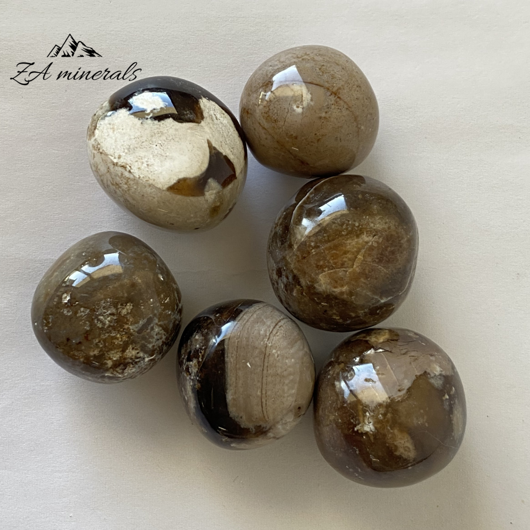 Set of six off white to dark brown toned Black Opal 