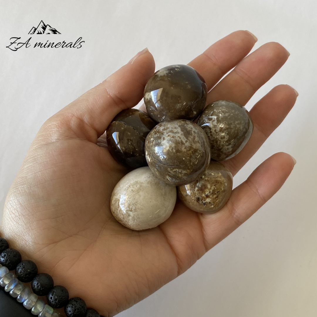 Size reference of black opal gumballs in hand 