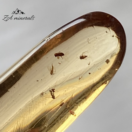 Polished Copal 0.003kg IV22