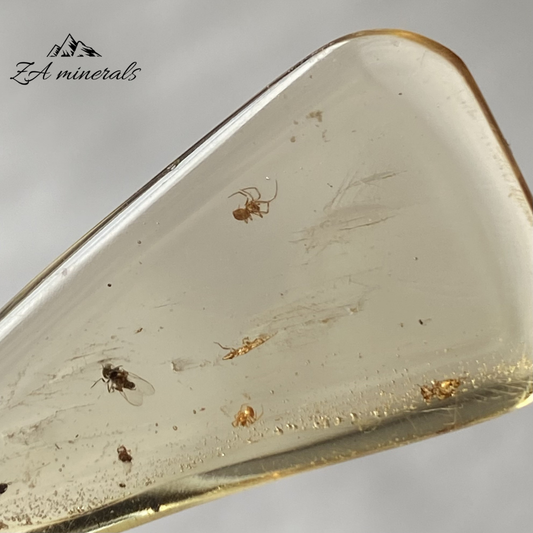 Polished Copal 0.004kg IV23