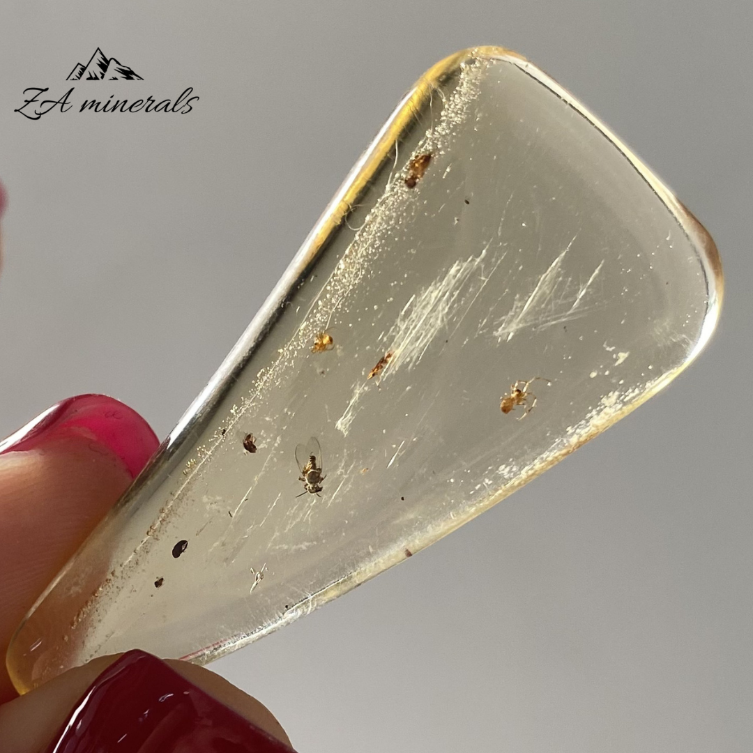 Polished Copal 0.004kg IV23