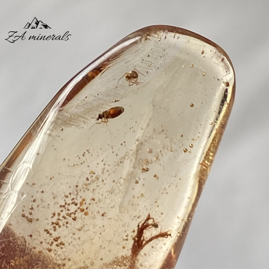 Polished Copal 0.005kg IV24