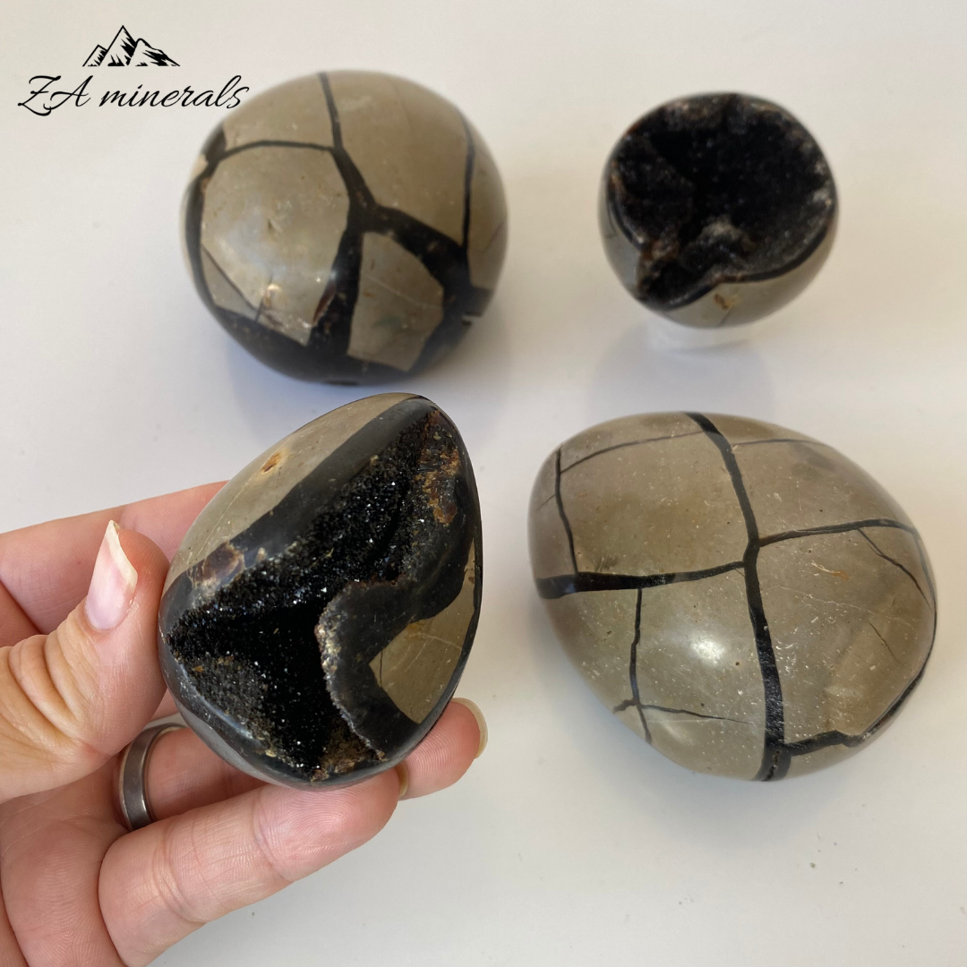 Polished Dragon Septarian Eggs / Spheres 1kg