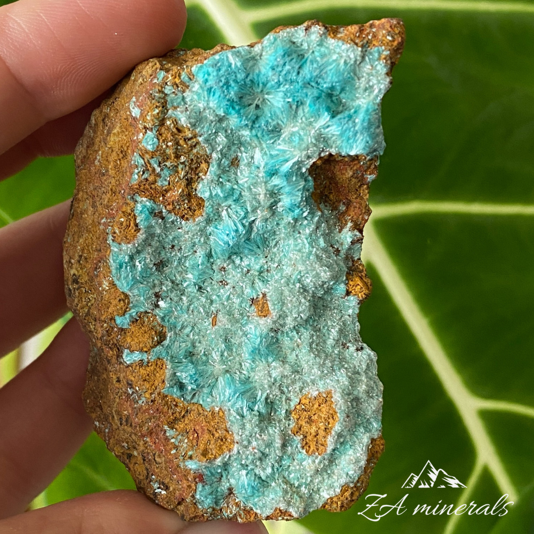 Aurichalcite 98g IF15