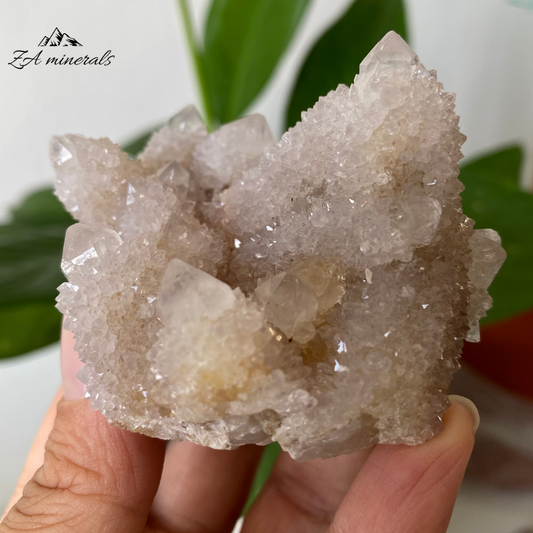 White Cactus Quartz 98g IG02