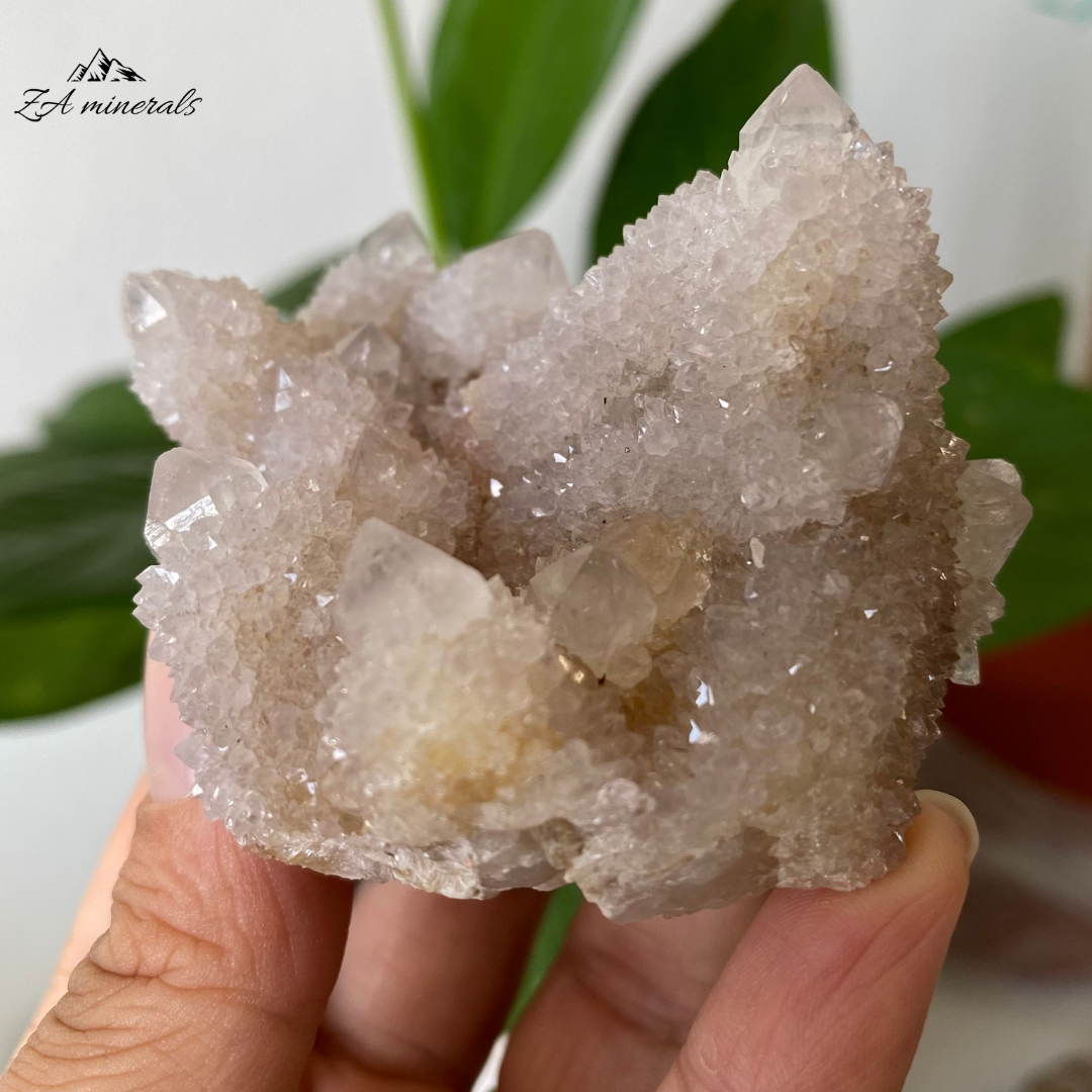 White Cactus Quartz 98g IG02