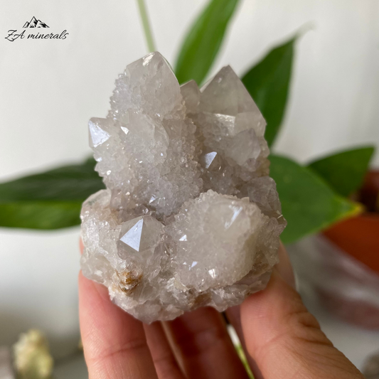 White Cactus Quartz 124g IG04