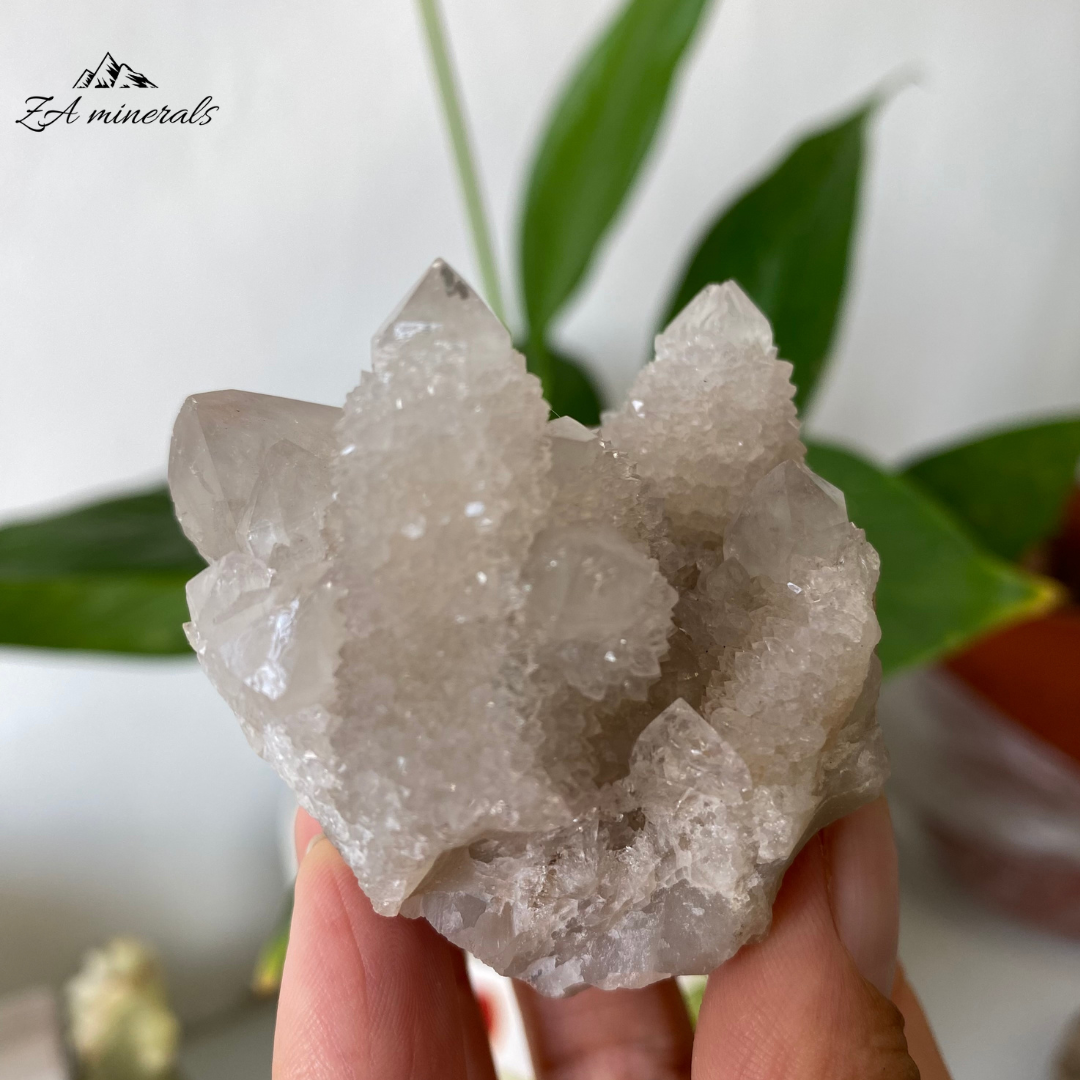 White Cactus Quartz 124g IG04