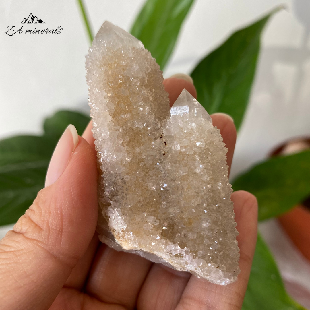 White Cactus Quartz 52g IG05