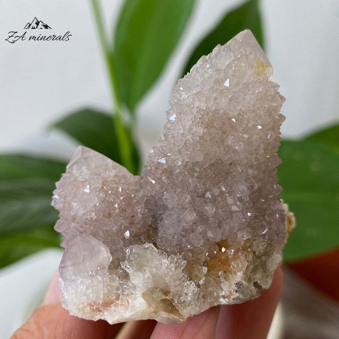 White Cactus Quartz 58g IG06