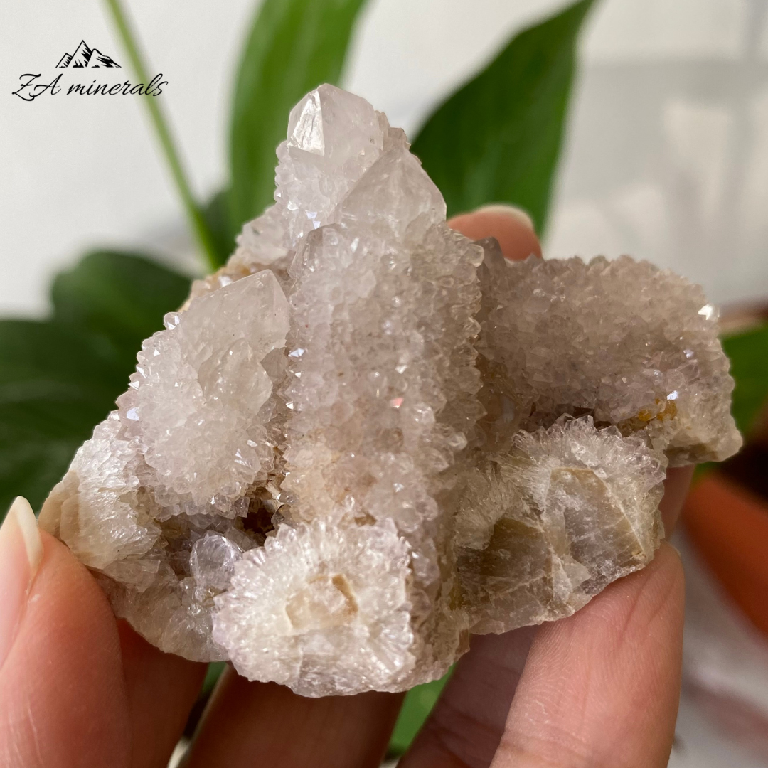 White Cactus Quartz 71g IG08