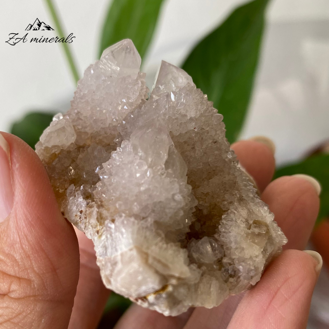 White Cactus Quartz 71g IG08