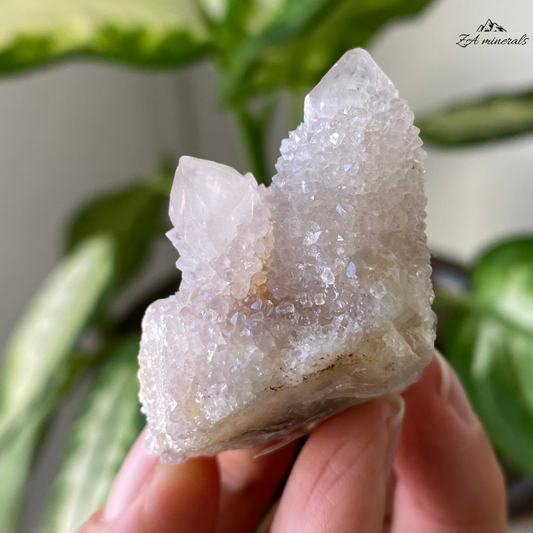 White Cactus Quartz 36g IG10