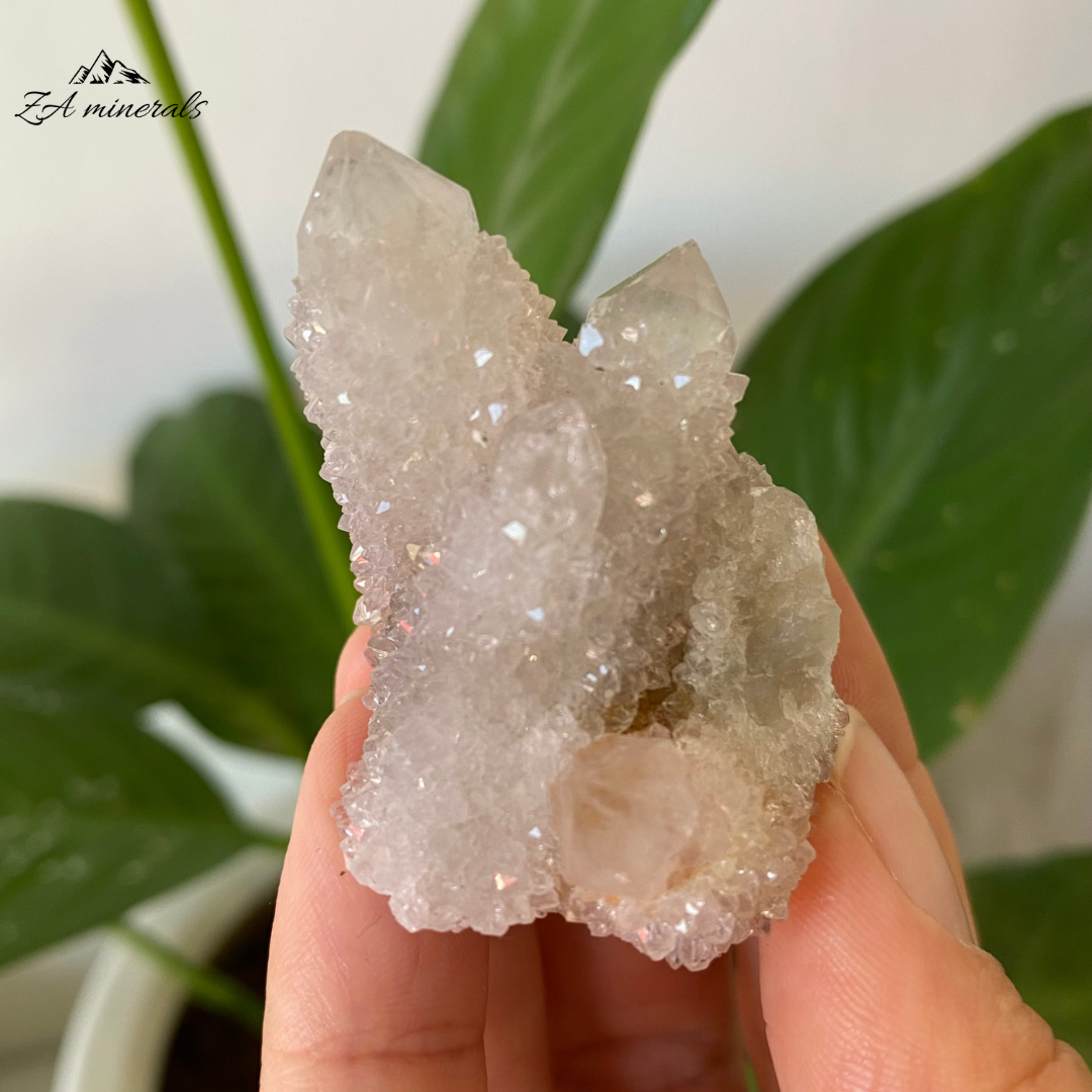 White Cactus Quartz 36g IG10