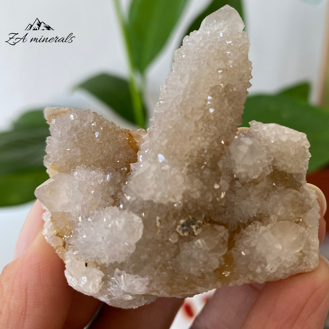 White Cactus Quartz 43g IG11